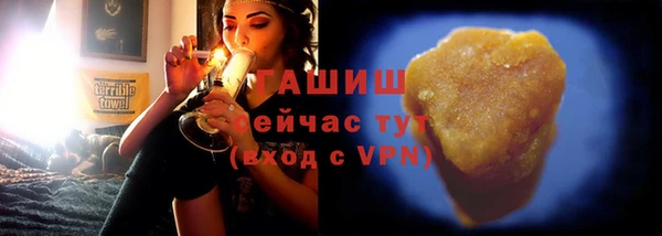 трава Ельня