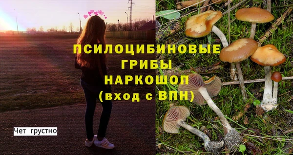 прущий лед Алексин
