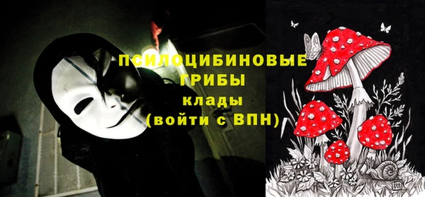 дурь Алексеевка